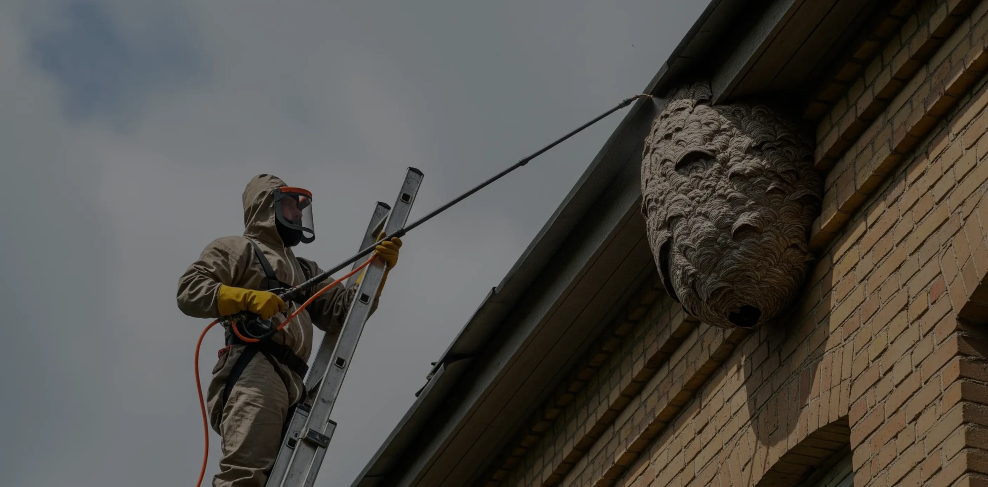 Un professionnel en hauteur détruit un nid de frelons à l'aide d'une perche.