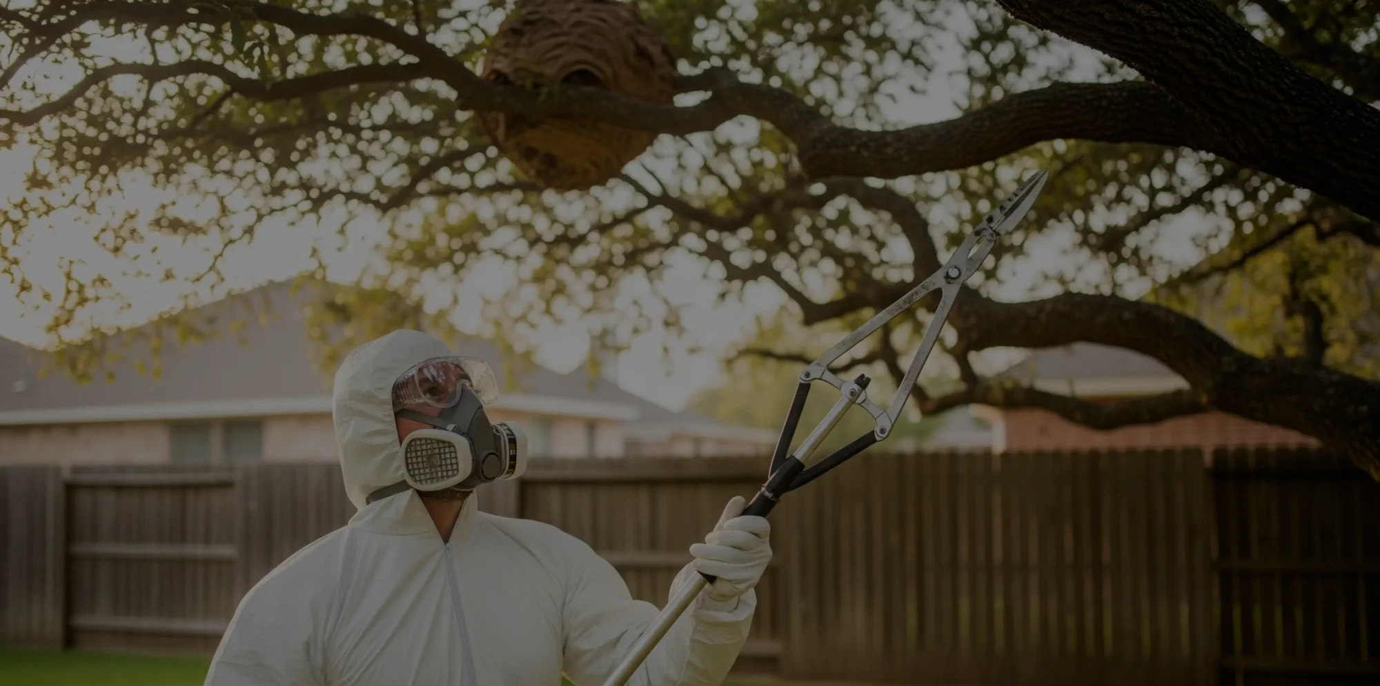 Un professionnel en tenue de protection inspecte un nid de frelons en hauteur avec un outil spécialisé.
