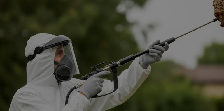 Un expert en désinsectisation en tenue de protection complète utilise un outil de pulvérisation à longue portée pour traiter un nid de frelons à distance, dans un jardin.